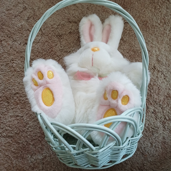 LG Easter Basket & Bunny !! - Picture 3 of 16
